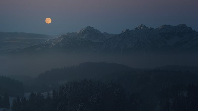 Moonlight